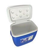 Freeze Peak Eco Cool 40 QT Soğutucu Buzluk 38 Litre - Mavi